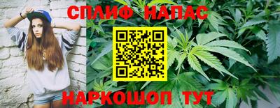 гидропоника Гусь-Хрустальный
