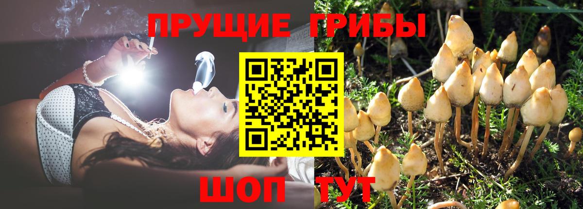 Псилоцибиновые грибы мицелий  Вход с VPN  Дагестанские Огни 